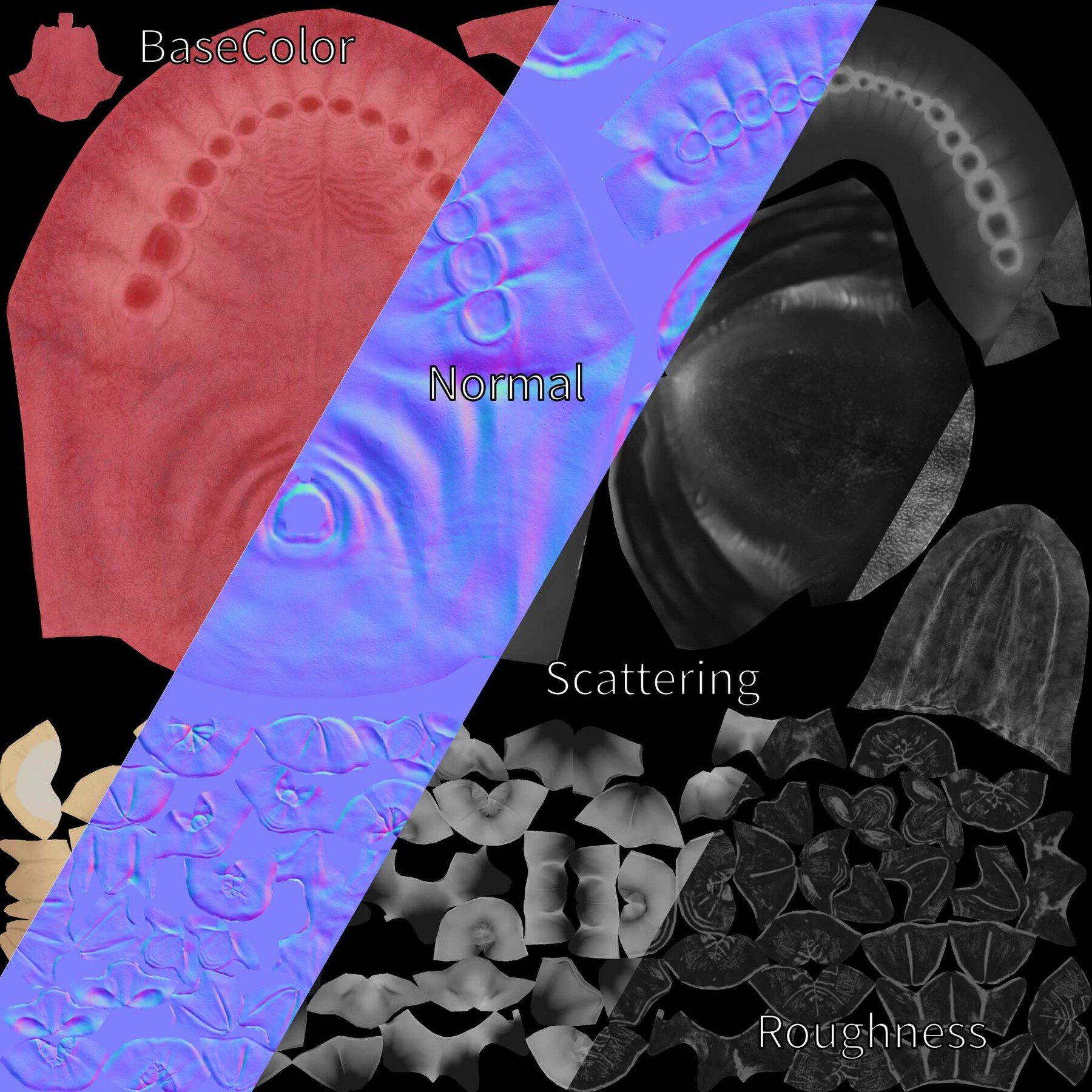 How To Make Human Teeth Model