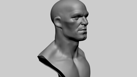 Stylized Male Head C
