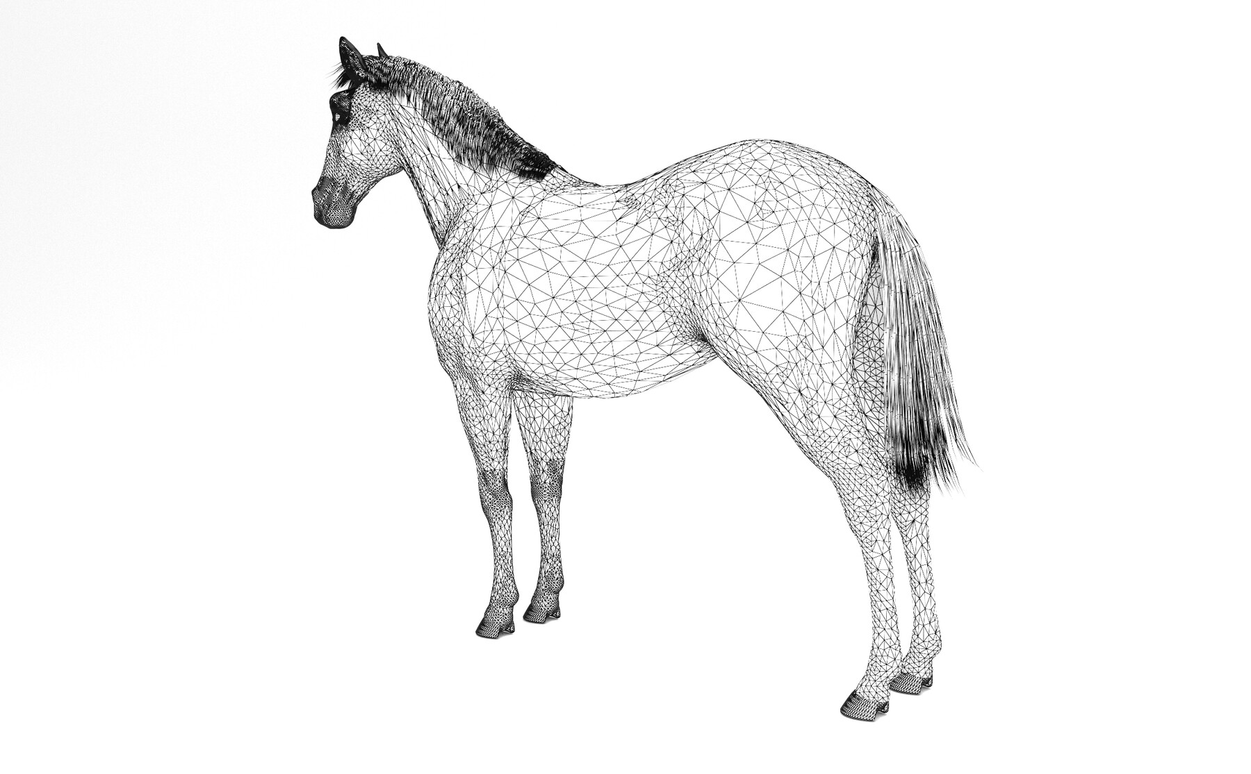 Лошадь 3 рубля. Раскраски животных лошадь 3d. Лошадь 3д распечатать и сделать своими руками.