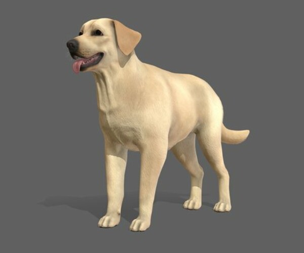 ArtStation - Dog - Labrador | Game Assets