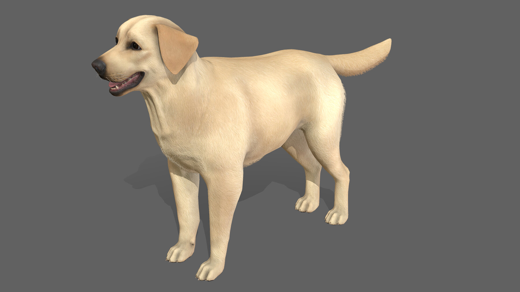 ArtStation - Dog - Labrador | Game Assets