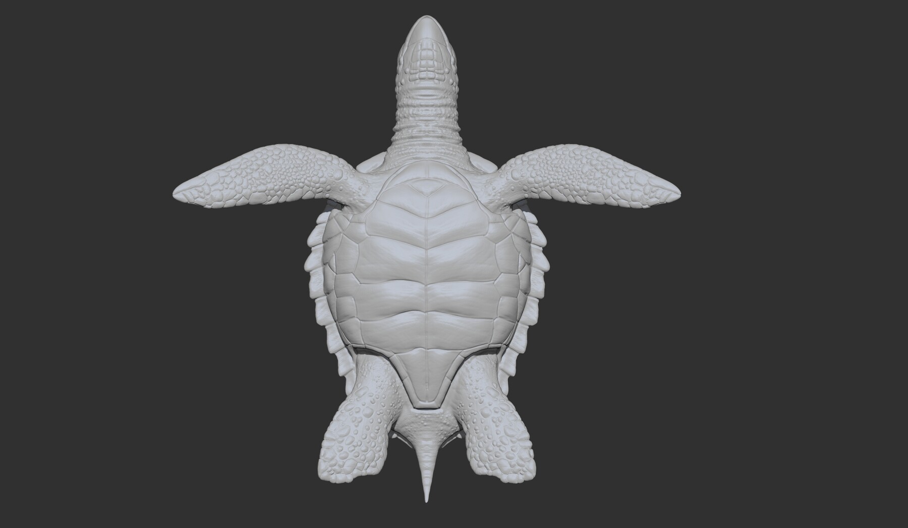 Artstation greenseaturtle stl resources