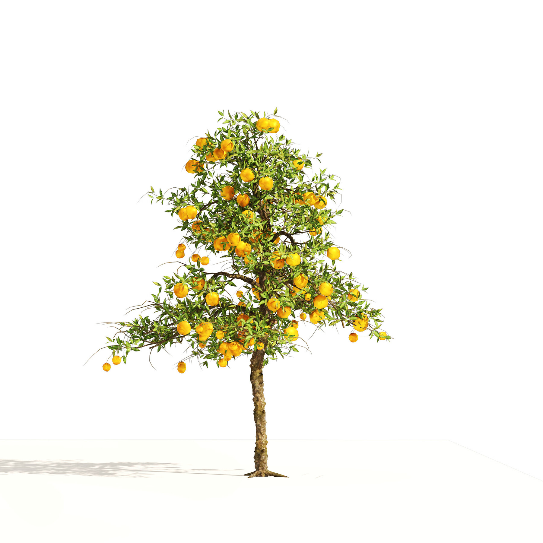 artstation-3-orange-fruit-trees-resources