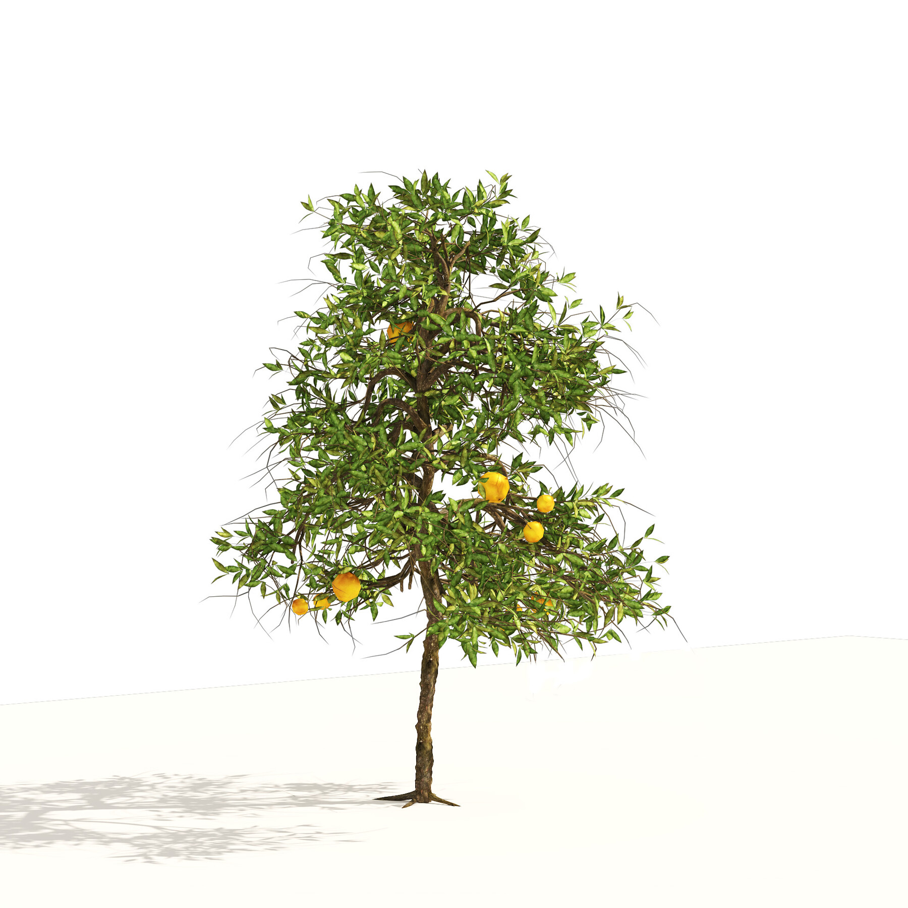 ArtStation - Orange fruit tree