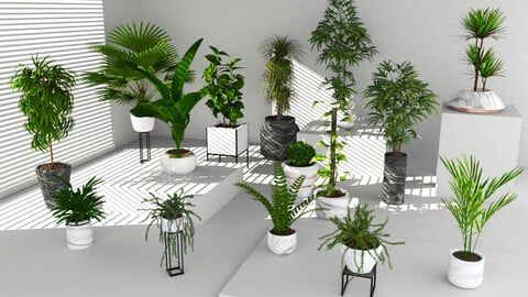 Decorative plants floor potted collection