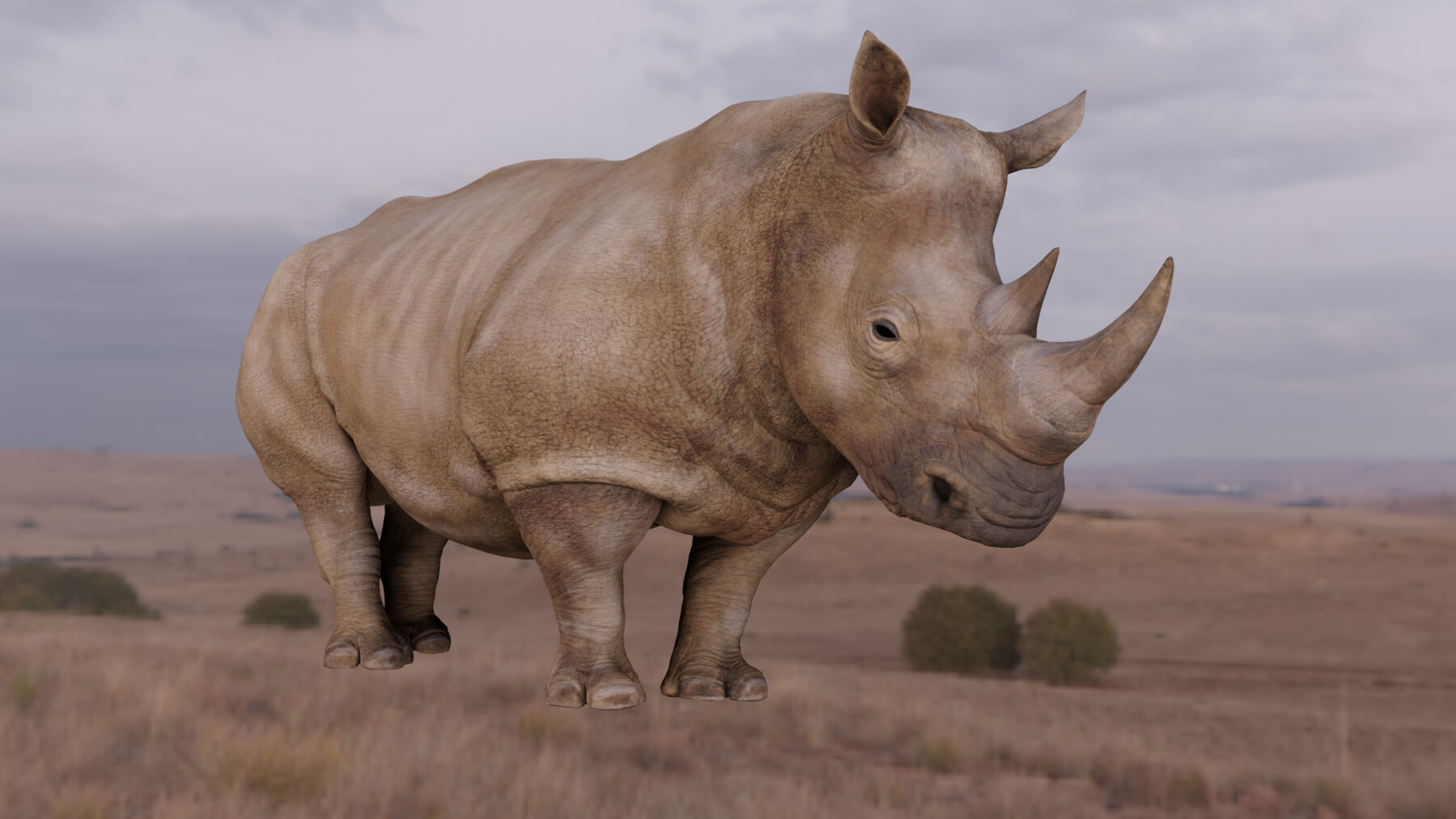 ArtStation - ANIMATED RHINOCEROS LOW POLY | Game Assets