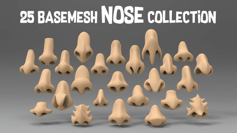 25 basemesh nose collection