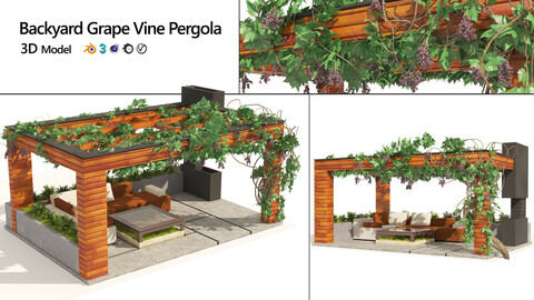 Grape Vine Pergola with furniture