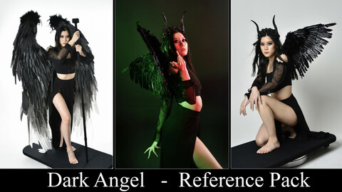 x308 Dark Angel - Stock Model Reference Pack