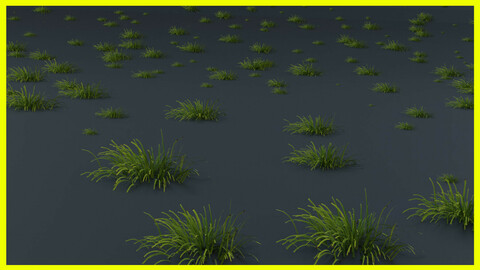 Grass | (Animated) | Free Download |Realistic Textured file