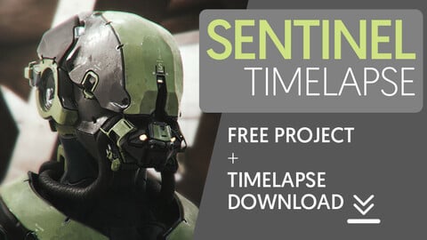 Sentinel Timelapse + Source File
