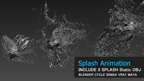 Water Splash Animation and Model