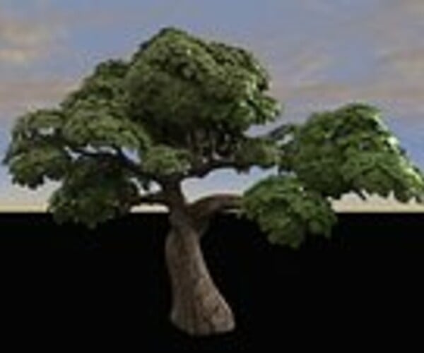 ArtStation - Tree cartoon | Game Assets