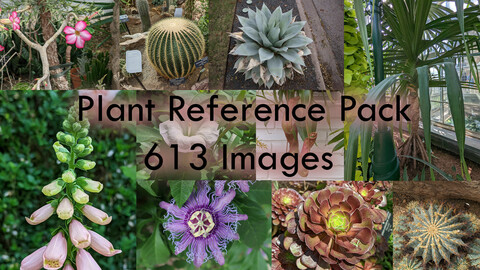 Plant References: Flowers, Botanical Gardens, and More. 613 Photos