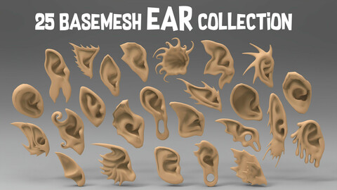 25 basemesh ear collection
