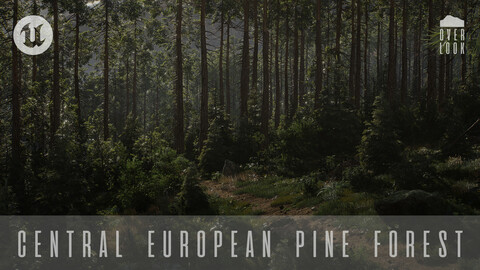 Central European Pine Forest UE4 / UE5