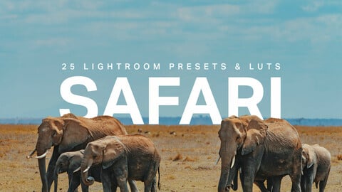 25 Safari LUTs & Lightroom Presets