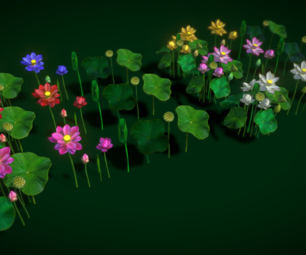 ArtStation - Flower Nelumbo Nucifera | Game Assets