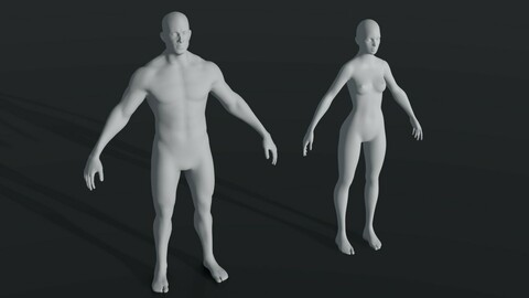 Male Female Body Base Mesh 28 Animations 3D Model 10k Polygons