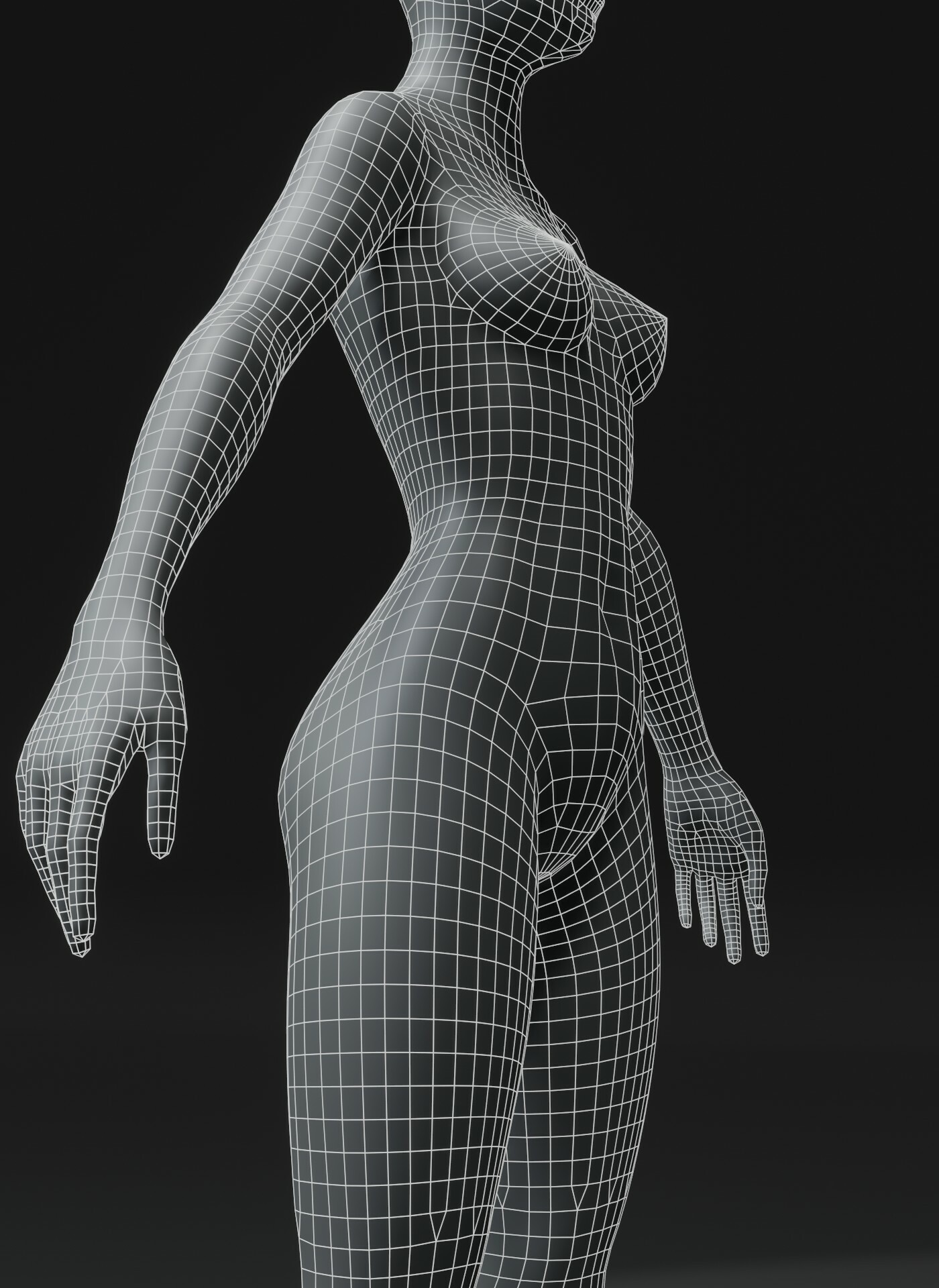 Male and Female Body Base Mesh 3D Model 20k Poly - Buy Royalty Free 3D  model by 3DDisco (@3DDisco) [0607d17]
