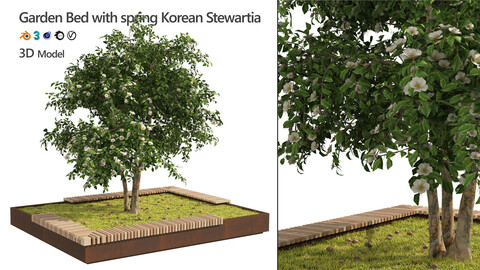 Landscape Garden Bed with spring Korean Stewartia Tree