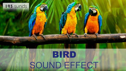 Birds Sound Effects
