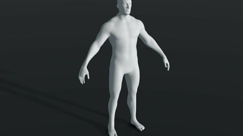 Male Body Base Mesh 28 Animations 3D Model 20k Polygons