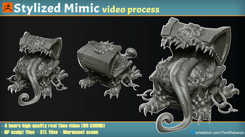Stylized Mimic Video Process