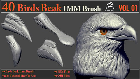 40 Birds Beak IMM Brush + Video How To Use