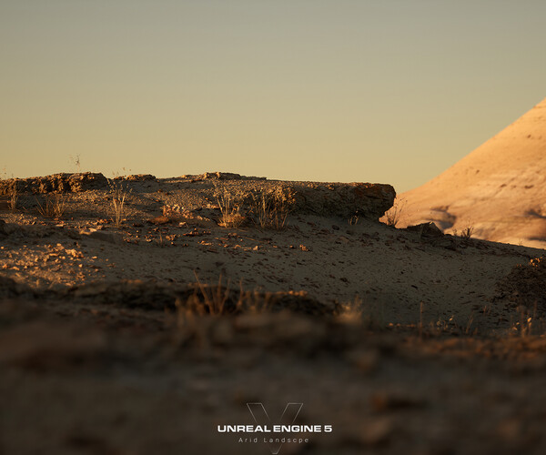 ArtStation - Arid Landscape (UE5 NANITE) | Game Assets