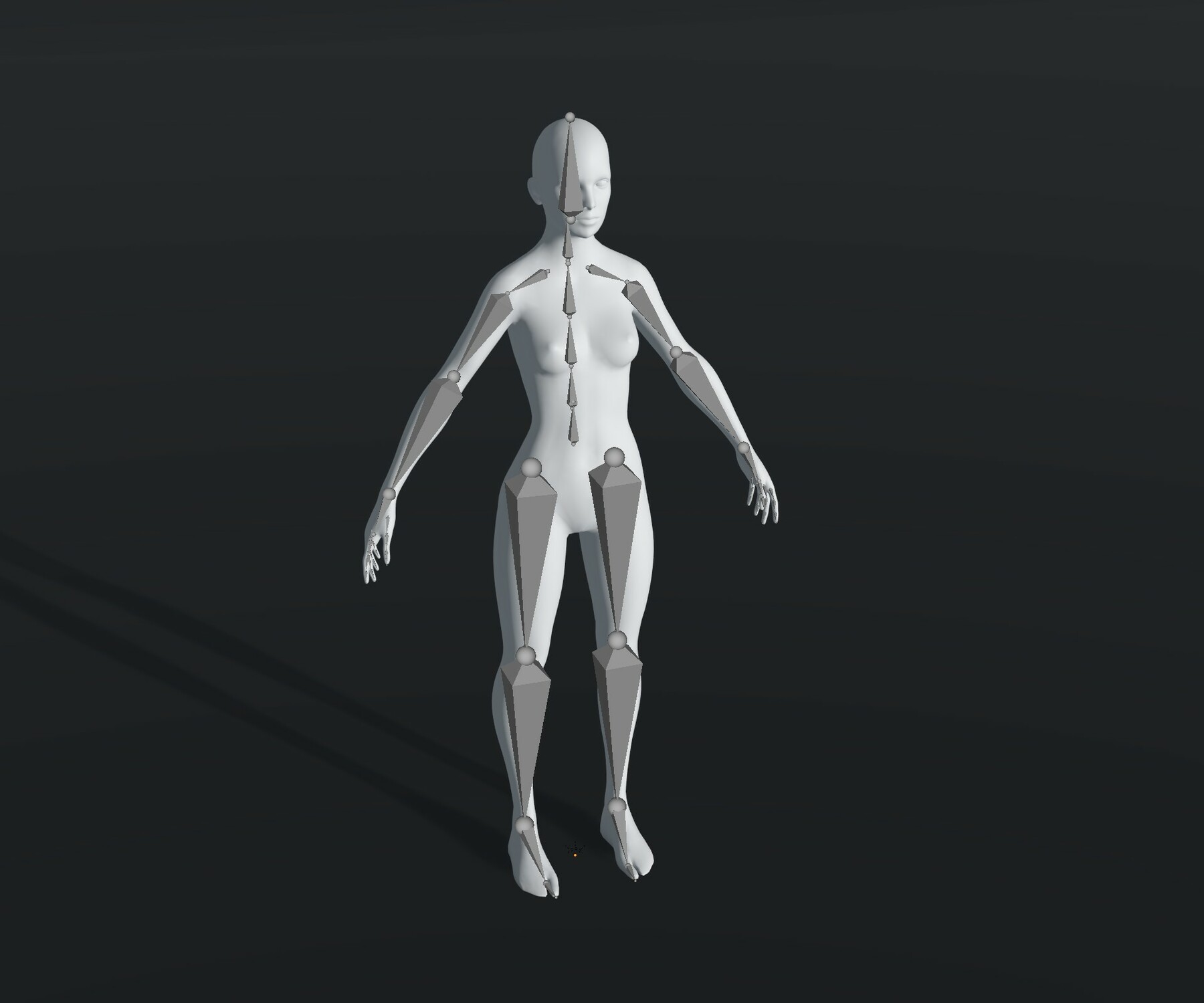 Artstation Male And Female Body Base Mesh 28 Animations 3d Model 20k