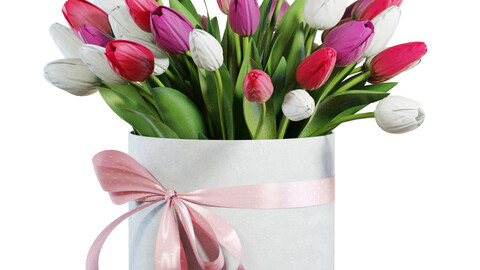 3D Model / Flower Set 21 / Pink & White Tulips Bouquet