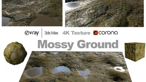 4K MATERIAL MOSSY GRASSLAND