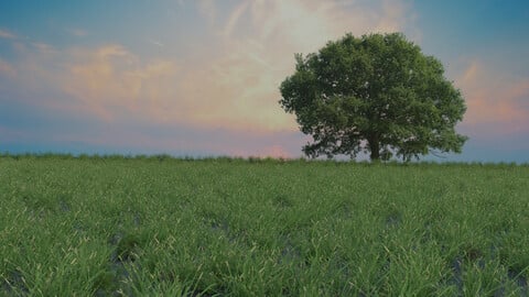 Grass | Realistic Textured File | Free Download | 3D Models |