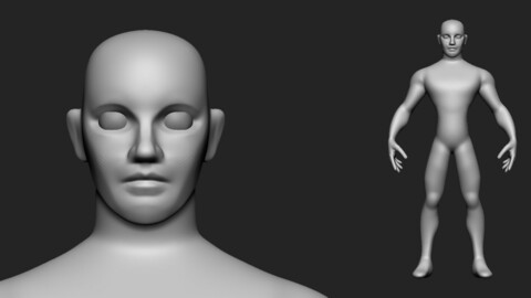 Stylized male base mesh
