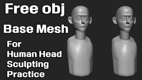 BaseMesh for Human Head Sculpting