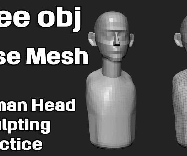 ArtStation BaseMesh for Human Head Sculpting Resources