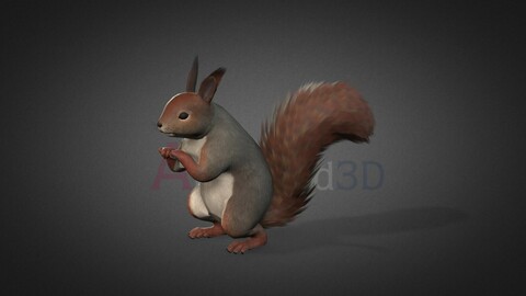 Squirrel-Idle2