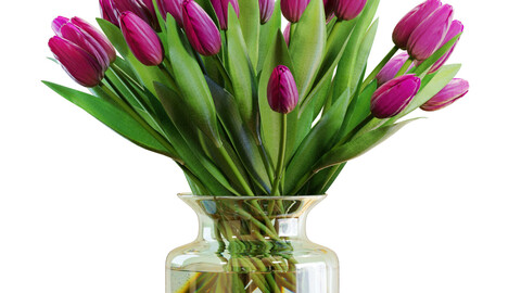 3D model / Flower Set 22 / Purple Tulips Bouquet