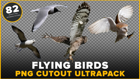 82 Flying Birds Png Cutout Ultrapack - Owls, Eagle, seagull