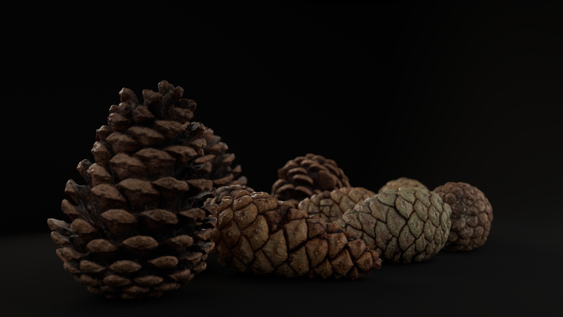 ArtStation - 8x British Pinecones | Game Assets