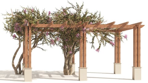 crape myrtle pergola