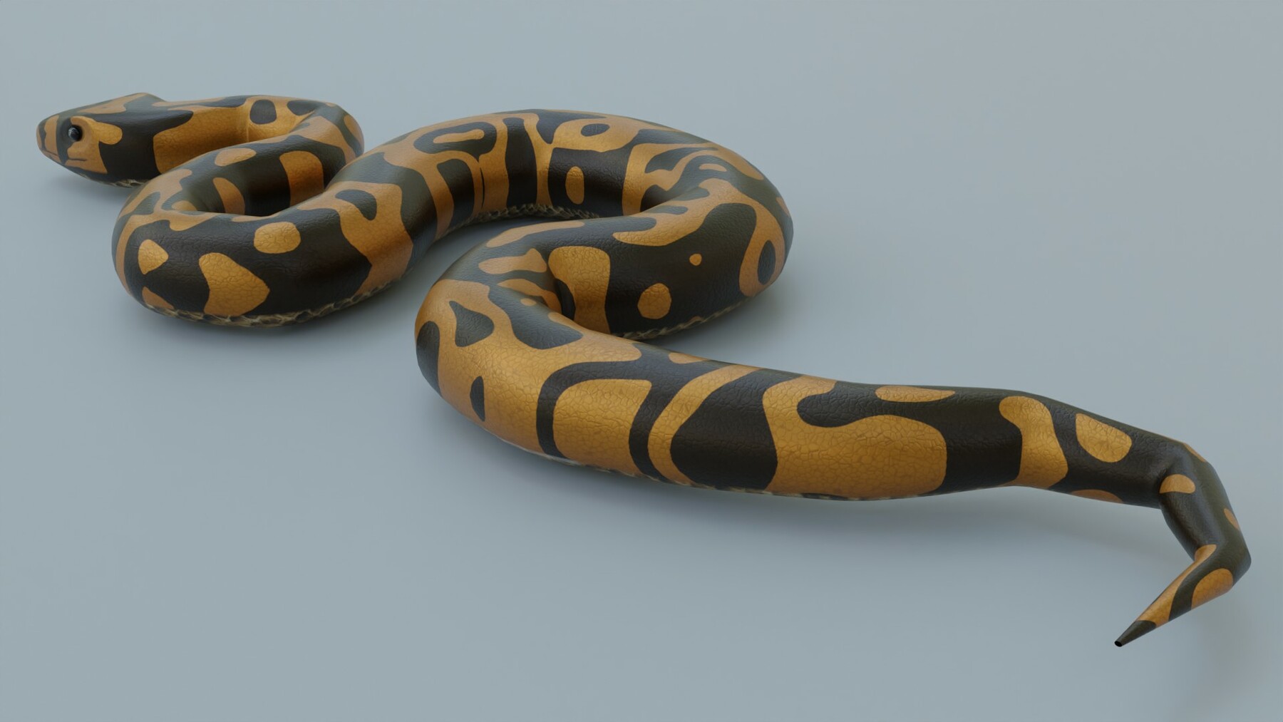 ArtStation - Python Snake - Rigged - Game Ready - PBR | Game Assets