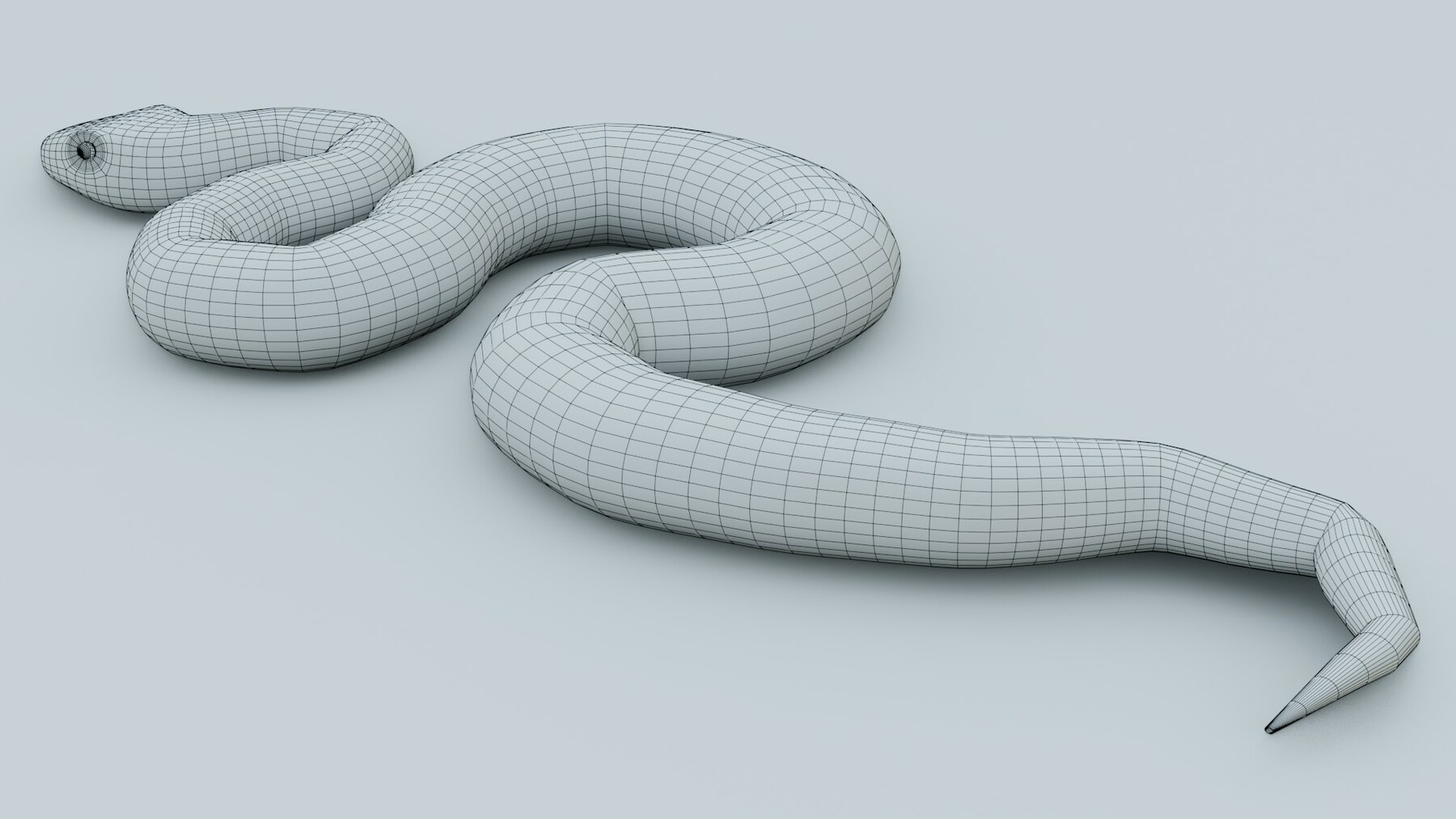 ArtStation - Python Snake - Rigged - Game Ready - PBR | Game Assets