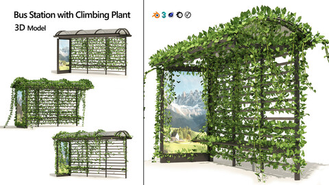 3 Bus Station with Climbing plant