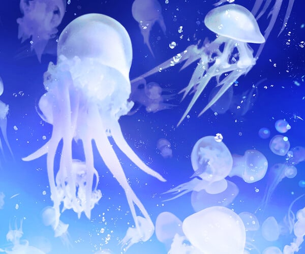 ArtStation - 3 Jellyfish Brushes for ClipStudioPaint/61 PNG images ...