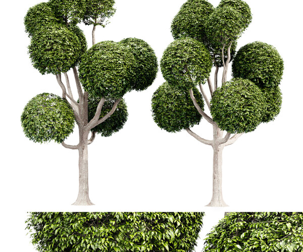 ArtStation - Fancy shaped decorative tree | Resources