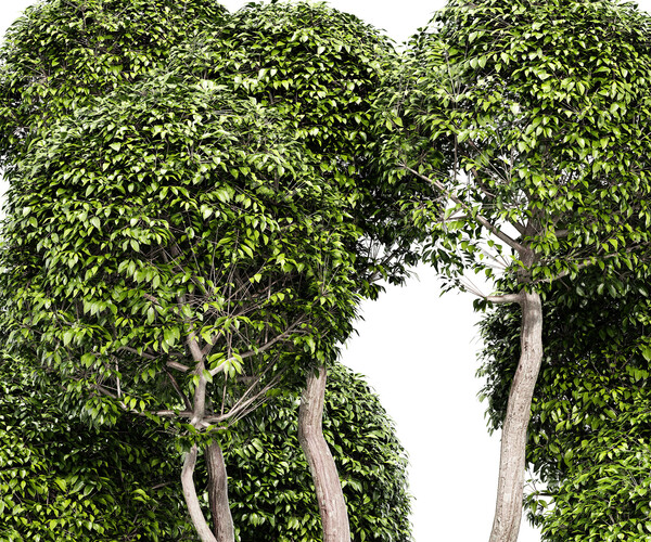 ArtStation - Fancy shaped decorative tree | Resources