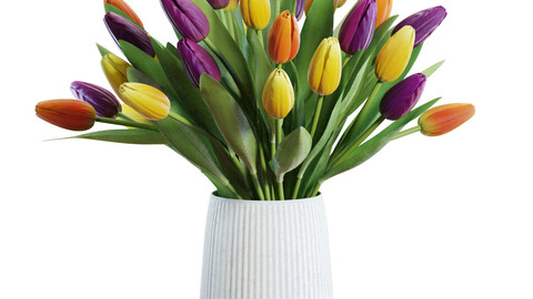 Flower Set 28 / Multicolor Tulips Bouquet