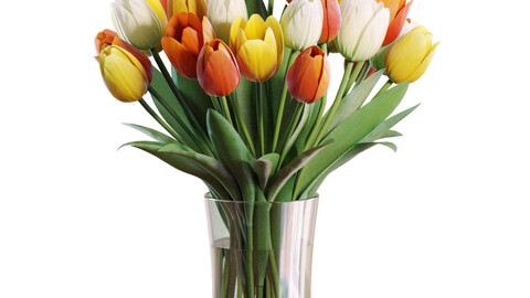 3D Model / Flower Set 29 / Multicolor Tulips Bouquet